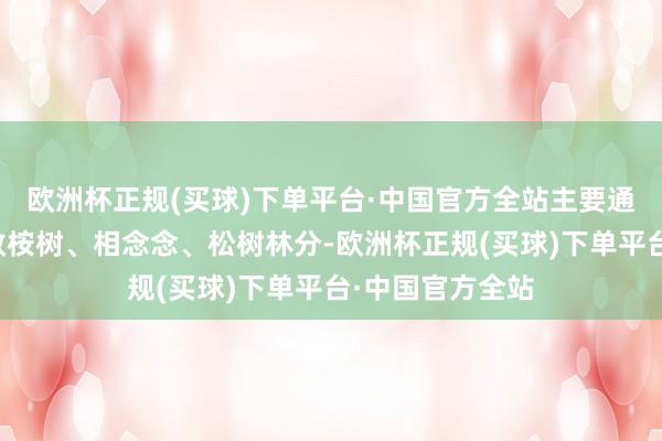 欧洲杯正规(买球)下单平台·中国官方全站主要通过采伐低质低效桉树、相念念、松树林分-欧洲杯正规(买球)下单平台·中国官方全站