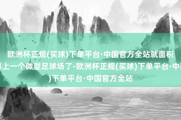 欧洲杯正规(买球)下单平台·中国官方全站就面积来说也赶得上一个微型足球场了-欧洲杯正规(买球)下单平台·中国官方全站