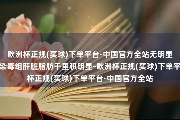 欧洲杯正规(买球)下单平台·中国官方全站无明显的脂肪变性；SA染毒组肝脏脂肪千里积明显-欧洲杯正规(买球)下单平台·中国官方全站