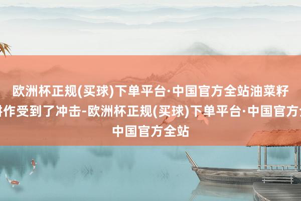 欧洲杯正规(买球)下单平台·中国官方全站油菜籽的耕作受到了冲击-欧洲杯正规(买球)下单平台·中国官方全站