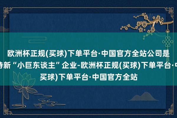 欧洲杯正规(买球)下单平台·中国官方全站公司是工信部专精特新“小巨东谈主”企业-欧洲杯正规(买球)下单平台·中国官方全站