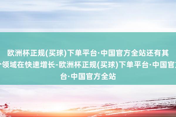 欧洲杯正规(买球)下单平台·中国官方全站还有其他几个领域在快速增长-欧洲杯正规(买球)下单平台·中国官方全站