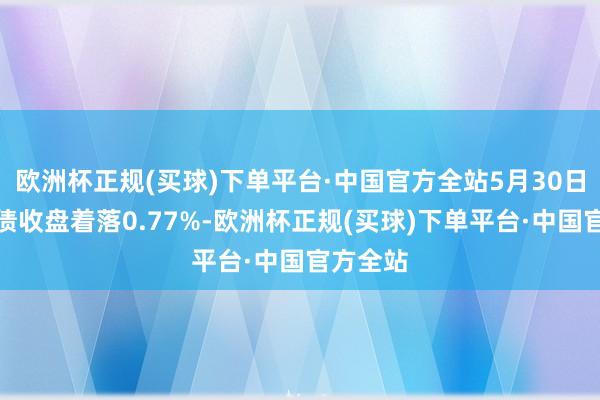 欧洲杯正规(买球)下单平台·中国官方全站5月30日都鲁转债收盘着落0.77%-欧洲杯正规(买球)下单平台·中国官方全站