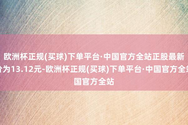 欧洲杯正规(买球)下单平台·中国官方全站正股最新价为13.12元-欧洲杯正规(买球)下单平台·中国官方全站