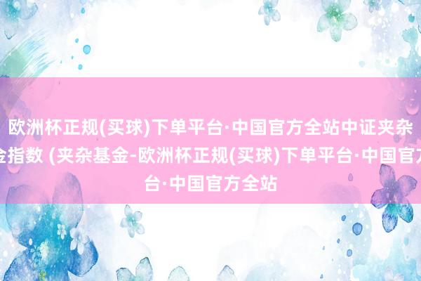 欧洲杯正规(买球)下单平台·中国官方全站中证夹杂型基金指数 (夹杂基金-欧洲杯正规(买球)下单平台·中国官方全站