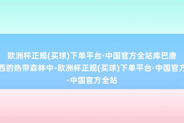 欧洲杯正规(买球)下单平台·中国官方全站库巴唐在巴西的热带森林中-欧洲杯正规(买球)下单平台·中国官方全站