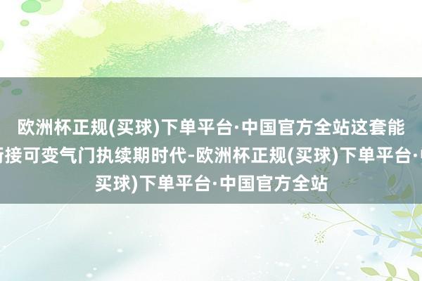 欧洲杯正规(买球)下单平台·中国官方全站这套能源系统秉承衔接可变气门执续期时代-欧洲杯正规(买球)下单平台·中国官方全站