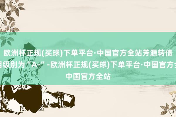 欧洲杯正规(买球)下单平台·中国官方全站芳源转债信用级别为“A-”-欧洲杯正规(买球)下单平台·中国官方全站