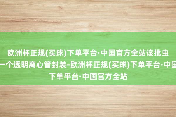 欧洲杯正规(买球)下单平台·中国官方全站该批虫豸每只用一个透明离心管封装-欧洲杯正规(买球)下单平台·中国官方全站