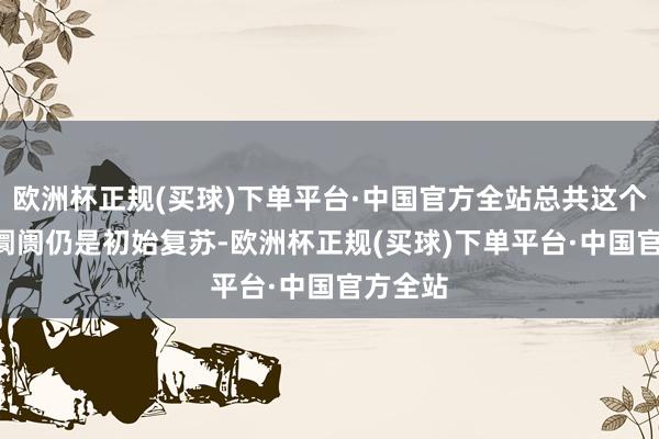 欧洲杯正规(买球)下单平台·中国官方全站总共这个词IPO阛阓仍是初始复苏-欧洲杯正规(买球)下单平台·中国官方全站